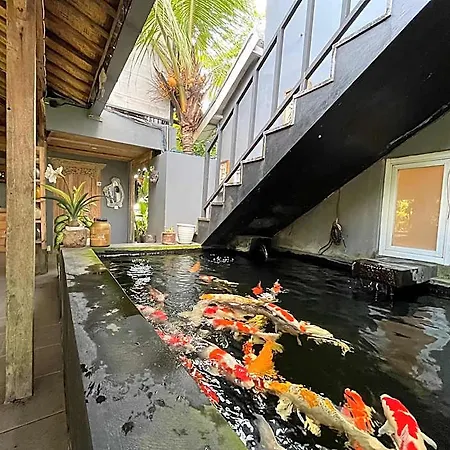 Villa Alisha