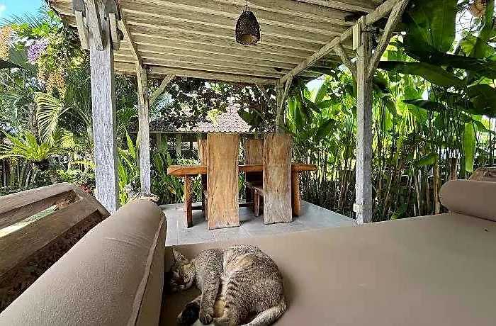 Alisha Guest house Pererenan